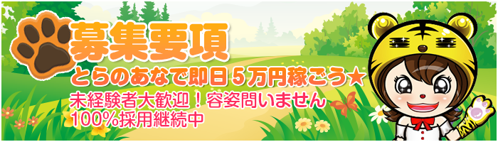 募集要項とらのあなで即日５万円稼ごう★未経験者大歓迎！容姿問いません100%採用継続中