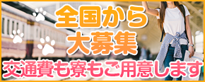 全国から大募集交通費も寮もご用意します
